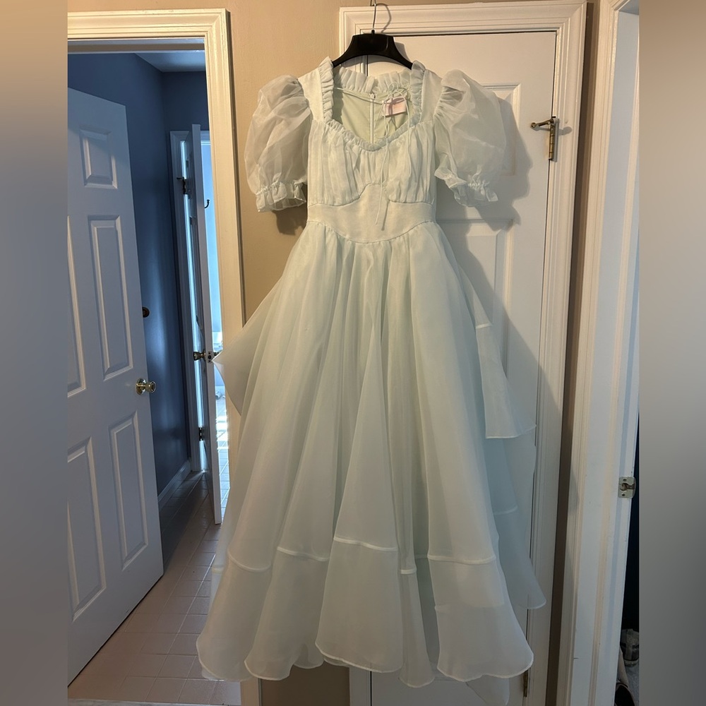 NWOT Portrait of a Lady Gown